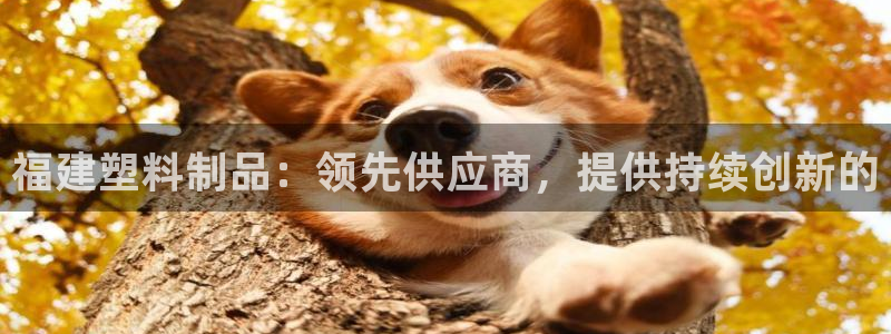 太阳集团城2017网站：福建塑料制品：领先供应商，提供持续创