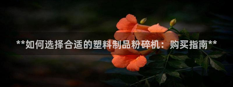 太阳成集团网址 app：**如何选择合适的塑料制品粉碎机：购