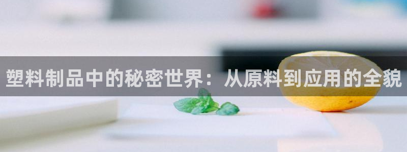 太阳gg登陆测试：塑料制品中的秘密世界：从原料到应用的全貌