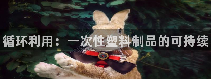 太阳集团游戏官网：循环利用：一次性塑料制品的可持续