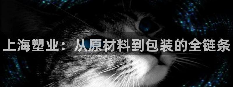 太阳集团电子游戏(中国)有限公司：上海塑业：从原材料到包装的