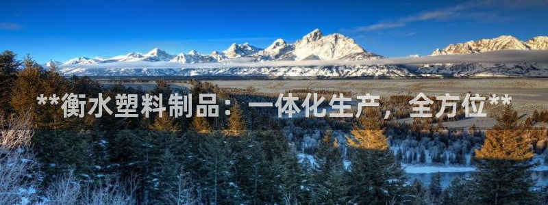太阳集团娱乐全部网址视频：**衡水塑料制品：一体化生产，全方