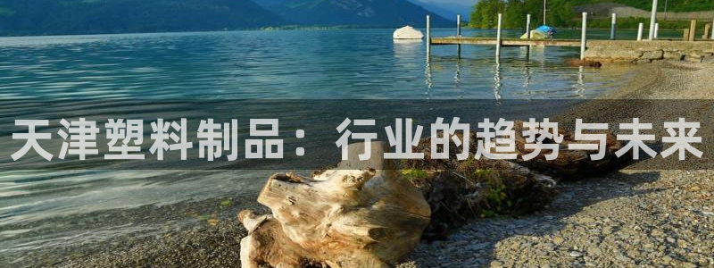 古天乐代言的太阳集团城网址：天津塑料制品：行业的趋势与未来