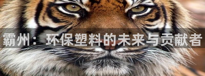 太阳诚集团是干什么的：霸州：环保塑料的未来与贡献者