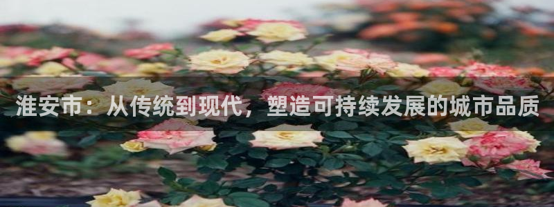 太阳集团所有网址16877：淮安市：从传统到现代，塑造可持续