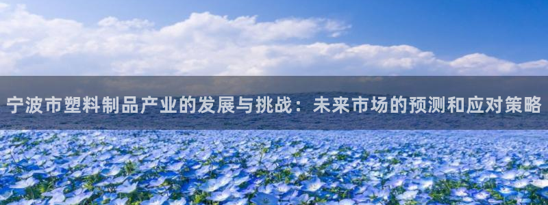 太阳集团城网：宁波市塑料制品产业的发展与挑战：未来市场的预测
