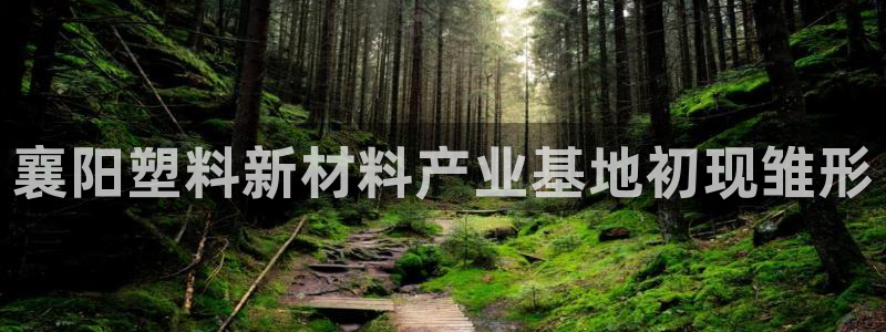 太阳集团电子游戏大全：襄阳塑料新材料产业基地初现雏形