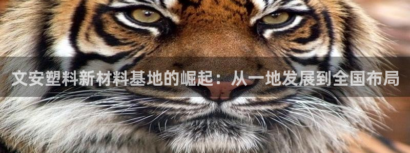 太阳诚集团有限公司有多少人：文安塑料新材料基地的崛起：从一地