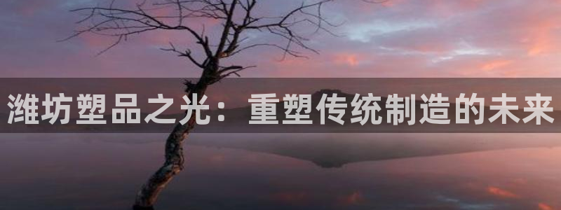 太阳成集团是干嘛的：潍坊塑品之光：重塑传统制造的未来