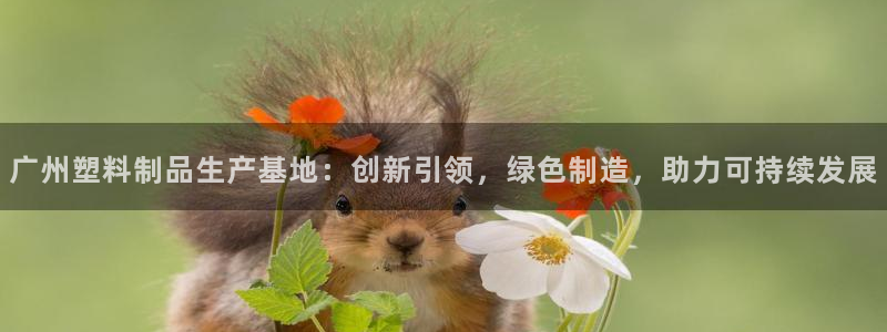 太阳游戏视频：广州塑料制品生产基地：创新引领，绿色制造，助力