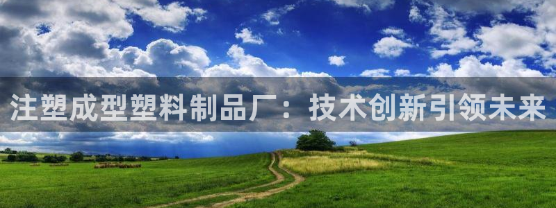 太阳gg在线测速登录：注塑成型塑料制品厂：技术创新引领未来