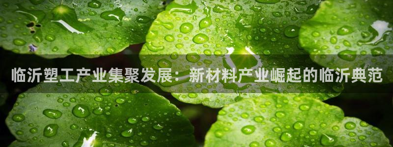 太阳集团娱乐场：临沂塑工产业集聚发展：新材料产业崛起的临沂典
