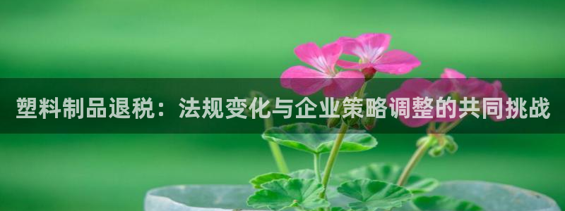 太阳2平台网址：塑料制品退税：法规变化与企业策略调整的共同挑