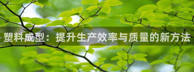 太阳集团城网址娱网 - 太阳集团电子游戏：塑料成型：提升生产