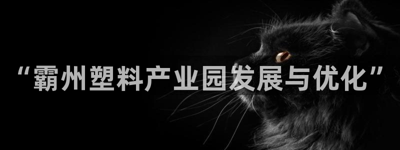 太阳集团游戏官网：“霸州塑料产业园发展与优化”