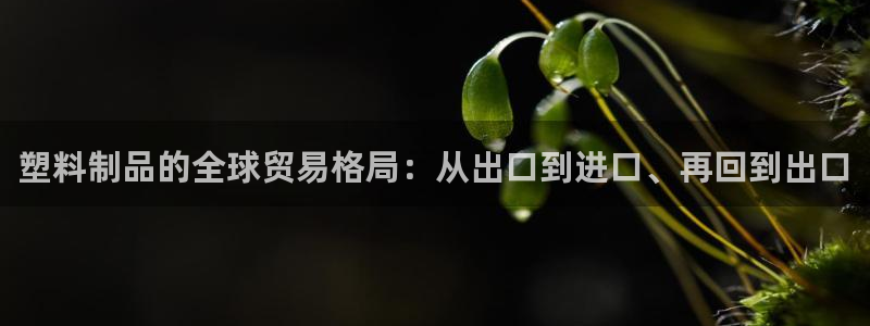 2018太阳集团游戏网站：塑料制品的全球贸易格局：从出口到进