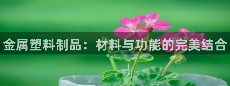 太阳集团app十佳平台：金属塑料制品：材料与功能的完美结合
