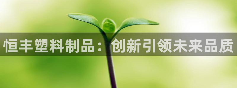 太阳集团app首页：恒丰塑料制品：创新引领未来品质