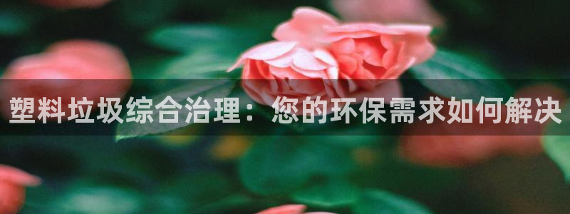 太阳集团城网址娱网 - 太阳集团电子游戏：塑料垃圾综合治理：