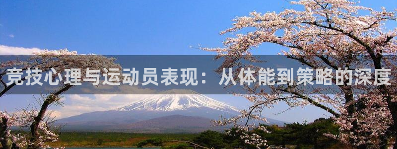 中欧体育