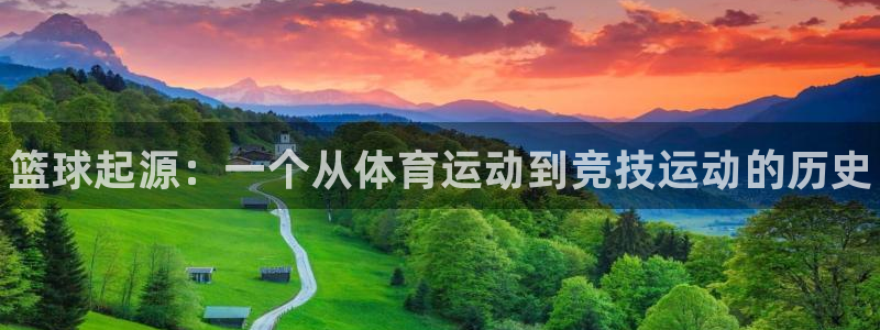 中欧体育zoty下载