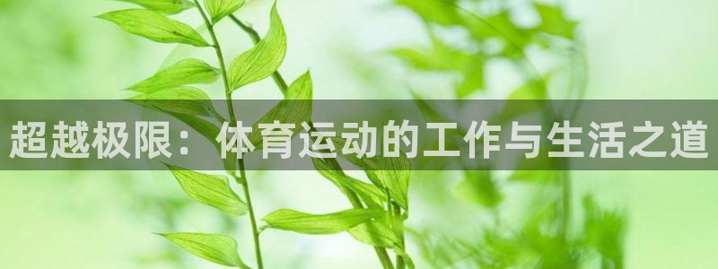 zoty中欧体育