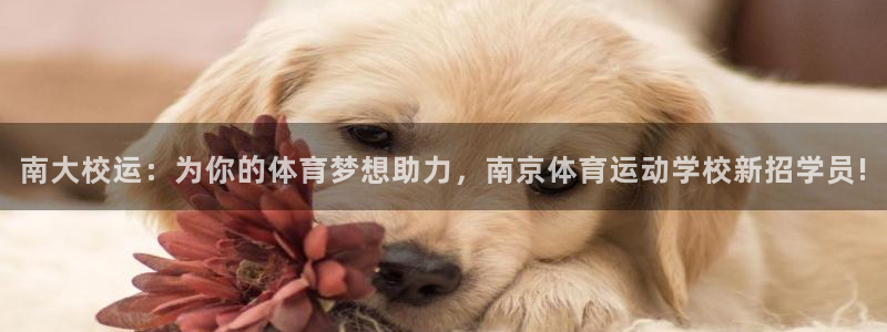 kok中欧体育
