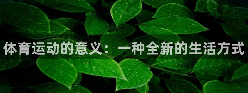 zoty中欧体育