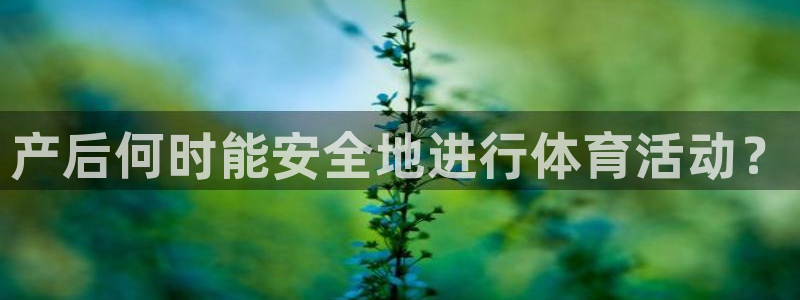 中欧体育集团