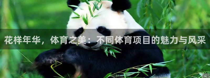 中欧体育网页版