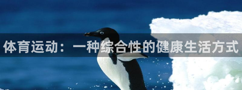 zyty中欧体育平台