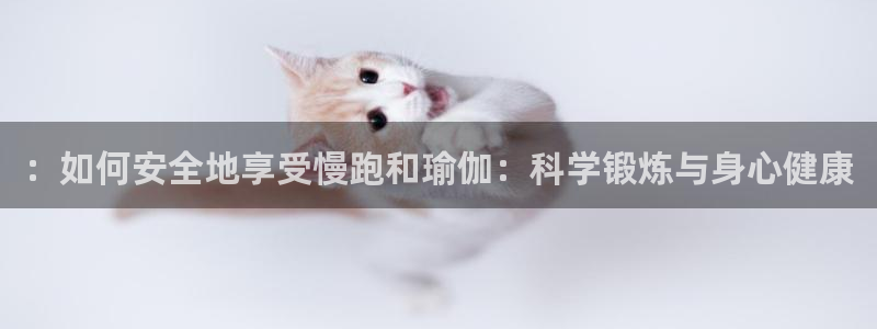 中欧体育zoty下载
