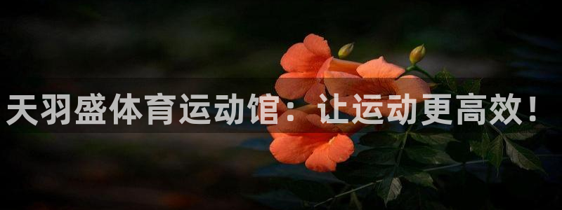 中欧体育最新地址