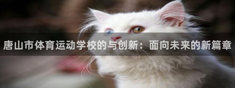 中欧体育ac米兰