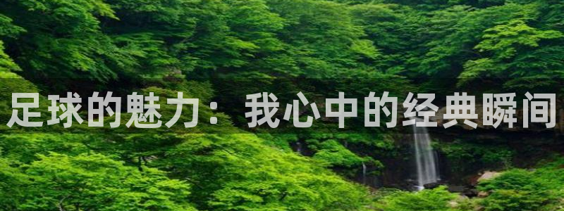 zyty中欧体育平台