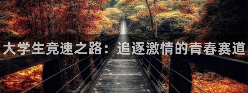 中欧体育集团