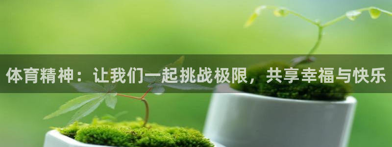 中欧体育在线