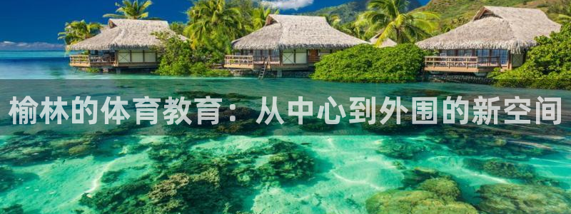 中欧体育网页登录