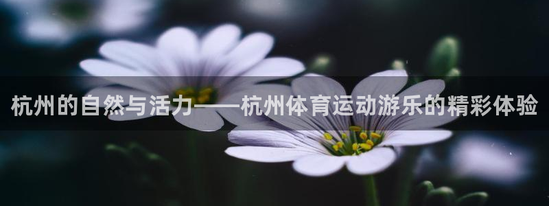 zoty中欧体育
