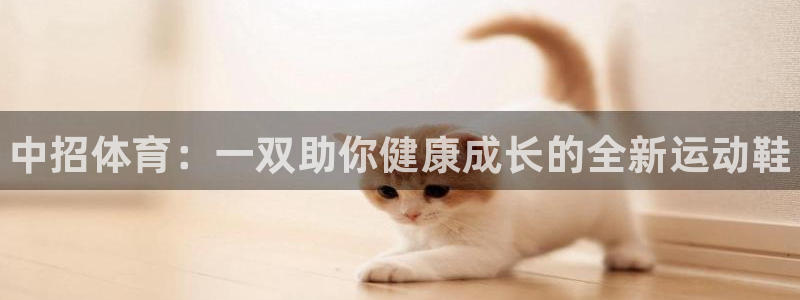 中欧体育网址