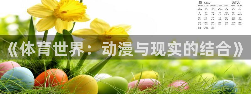 kok中欧体育登录