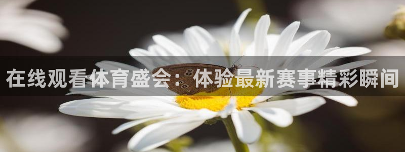 zoty中欧体育
