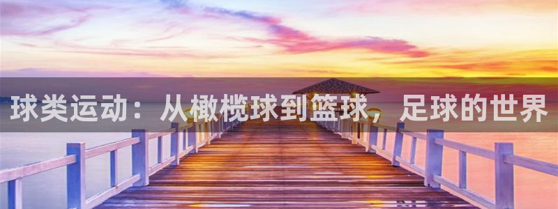 zoty中欧体育网址多少