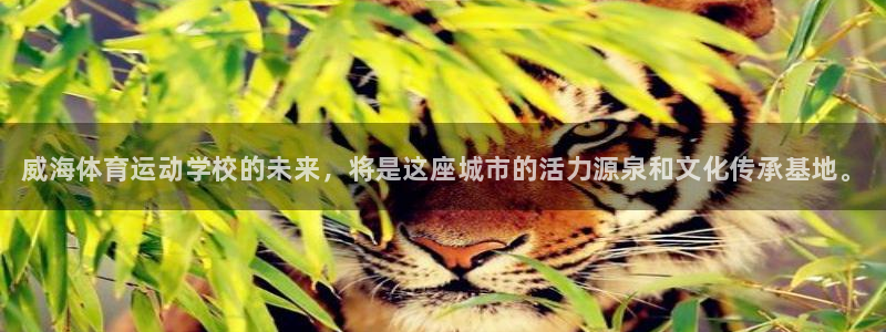 中欧体育kok