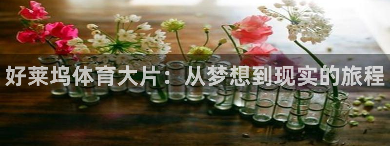 中欧体育官网