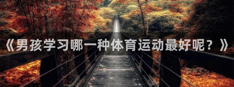 中欧体育最新地址