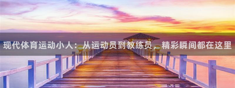 中欧体育平台