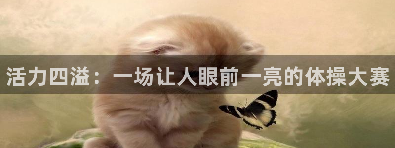 中欧体育平台