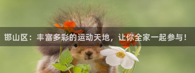 中欧体育官网