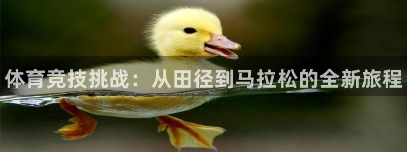 中欧体育网址